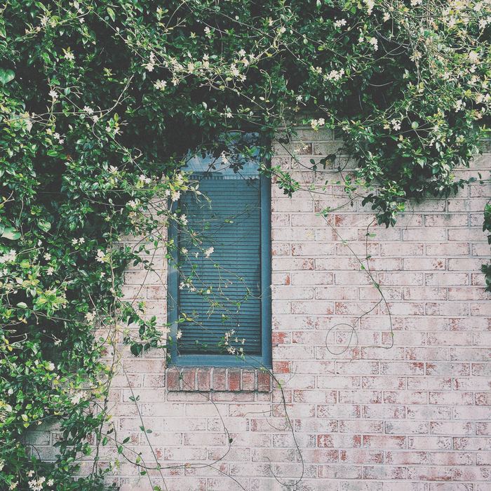 Everyday — Personal photograph 38 of 134 by Lau Chong Jin
