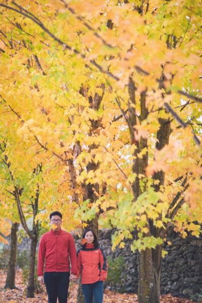 Han & Sam · New Zealand — Wedding photograph 64 of 107 by Lau Chong Jin