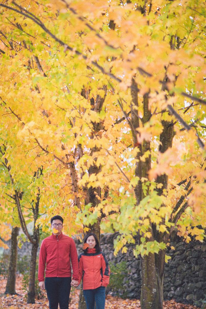 Han & Sam · New Zealand — Wedding photograph 93 of 107 by Lau Chong Jin