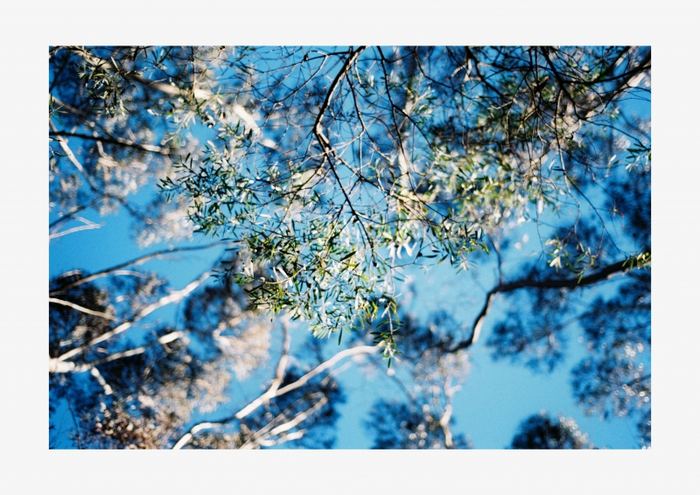 Sydney — Travel photograph 10 of 65 by Lau Chong Jin